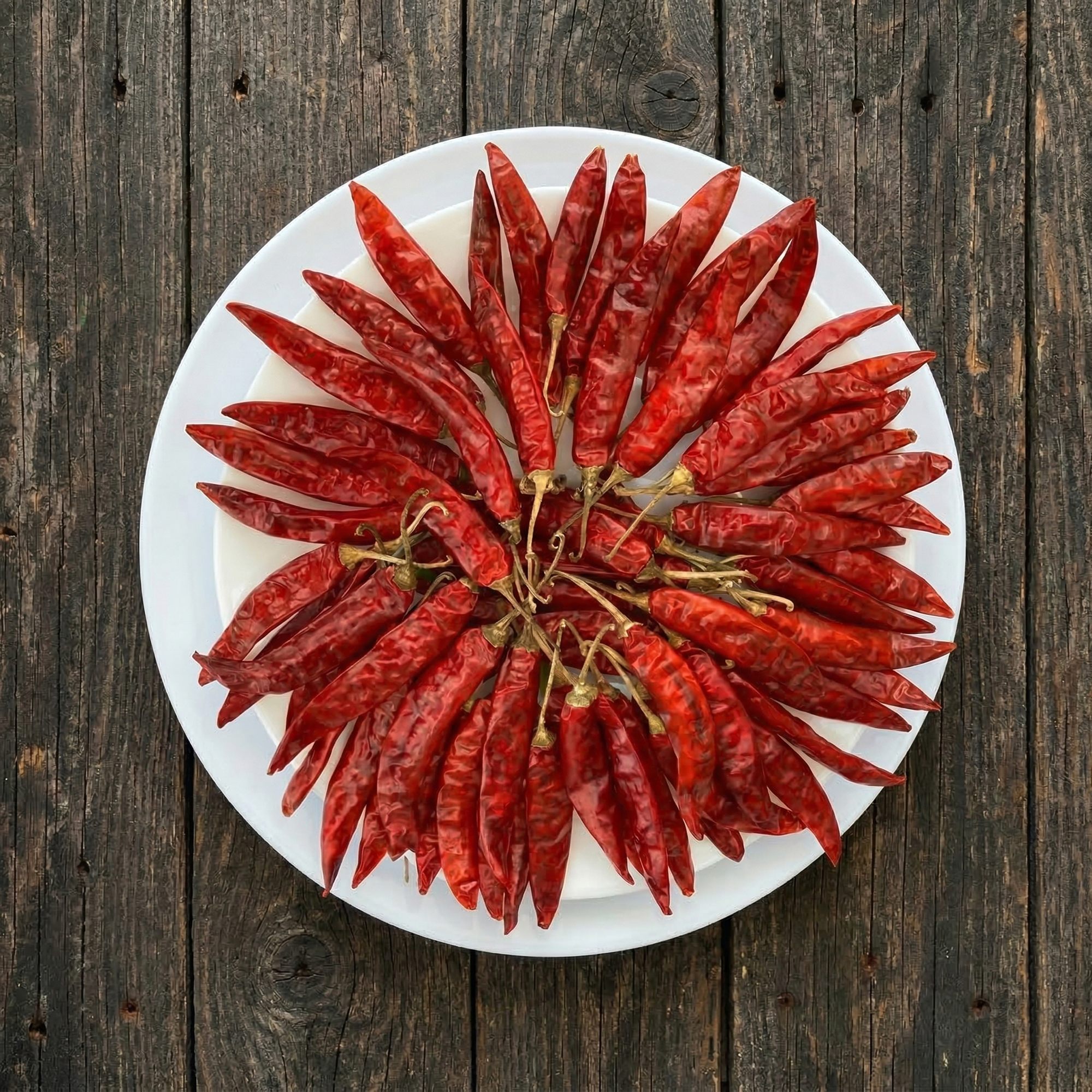 S10 Guntur Red Chilli Export Grade